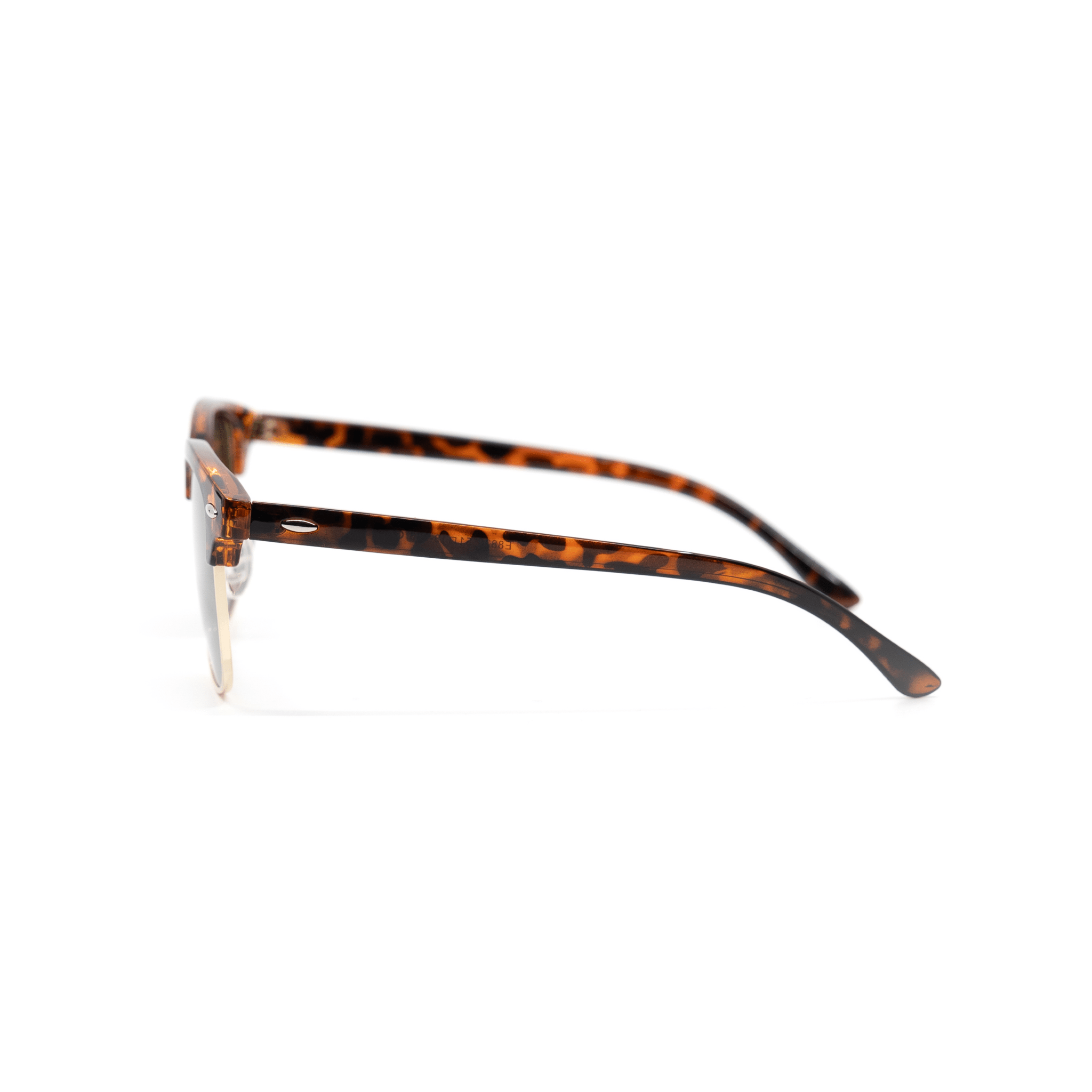 Belmonte - LuckyLosers - belmonte-safari