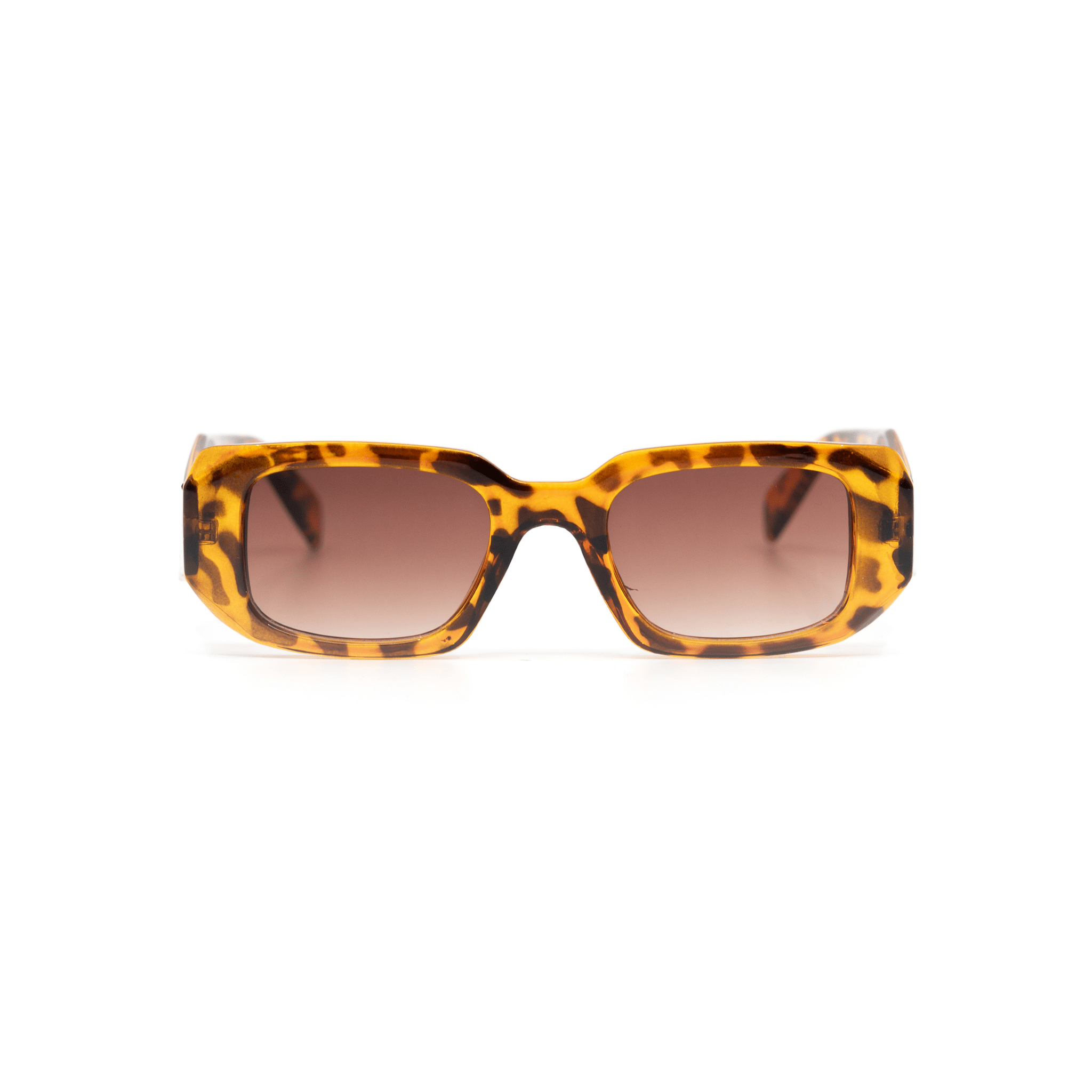 Jadran - LuckyLosers - legacy-leopard