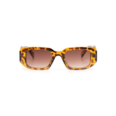 Jadran - LuckyLosers - legacy-leopard